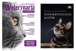 endokrynologia-kotow-feldman-e-c-fracassi-f-peterson-m-e