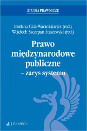 prawo-miedzynarodowe-publiczne-zarys-systemu-testy-online-praca-zbiorowa