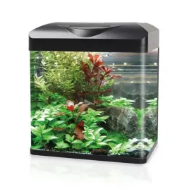 invital-easytank-pro-led-16-l-z-filtracja-czarny