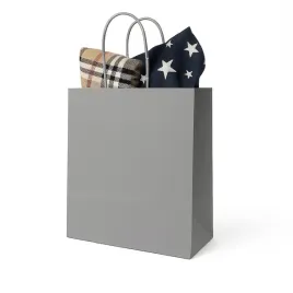 torba-papierowa-230x120x300-mm-szara-ozdobna-na-prezent-50-sztuk