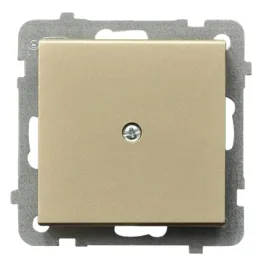 zaslepka-do-ramki-ospel-sonata-szampanski-zloty-podtynkowy-ip20-z-1r-m-39