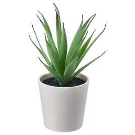 ikea-fejka-sztuczna-roslina-w-bialej-doniczce-sukulent-6-cm-wysokosc-14cm