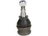 delphi-sworzen-wahacza-tc959