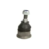 delphi-sworzen-wahacza-tc696