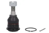 delphi-sworzen-wahacza-tc435-numery-katalogowe-zamiennikow-a-z-meisterteile-azmt-42-010-1301-a-z-meisterteile-azmt-42-010-7465-birth-cx0176-birth-cx3552-blue-print-adn18631-corteco-49398887-corteco-49399567-corteco-49399783-fai-autoparts-ss1163-kamoka-9040052-kavo-parts-sbj-6508-optimal-g3-087-optimal-g3-549-profit-2301-0166-quaro-qs2006-hq-ridex-2462s0062-skf-vkds-812005-skf-vkds-812019-stellox-52-01577a-sx-stellox-52-01577-sx