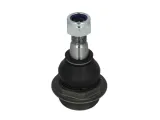 delphi-sworzen-wahacza-tc2370-numer-katalogowy-oryginalu-nissan-4016000q0e-nissan-40160-00q0e-nissan-4016000q0k-nissan-40160-00q0k-nissan-4016000q1c-nissan-40160-00q1c-nissan-4016000q1g-opel-4419219-opel-44-19-219-opel-4701627-opel-93197233-opel-95519341-renault-401611363r-renault-401613416r-renault-8200-688-877-vauxhall-44-19-219-vauxhall-93197233-vauxhall-95519341