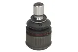 delphi-sworzen-wahacza-tc2260-numer-katalogowy-czesci-tc2260