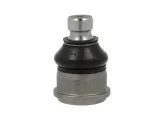 delphi-sworzen-wahacza-tc1130-numer-katalogowy-czesci-tc1130