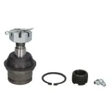 delphi-sworzen-wahacza-tc1690-jakosc-czesci-zgodnie-z-gvo-q-oryginal-z-logo-producenta-czesci-oem-oes