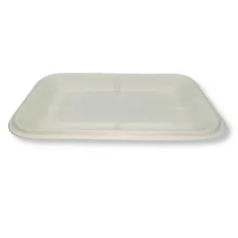 tacka-pulpa-trzcinowa-216x141x18-50szt
