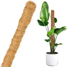palik-kokosowy-40-cm-25-mm-podpora-tyczka-do-roslin-kwiatow