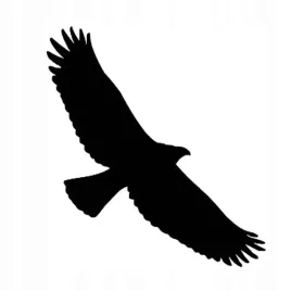 naklejka-na-auto-samochod-szybe-orzel-w-locie