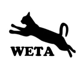 naklejka-kot-weta-weterynarz