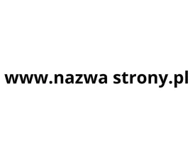 naklejka-auto-szybe-twoja-nazwa-strony-pl-40cm