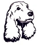 naklejka-na-auto-samochod-szybe-spaniel