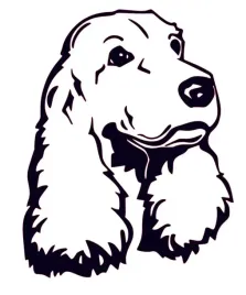 naklejka-na-auto-samochod-szybe-spaniel
