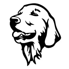 naklejka-na-auto-szybe-golden-retriever