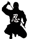 naklejka-na-auto-szybe-ninja