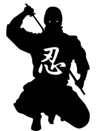 naklejka-na-auto-szybe-ninja