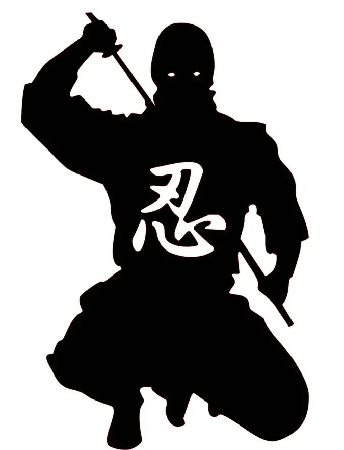 naklejka-na-auto-szybe-ninja