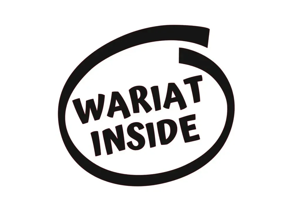 naklejka-na-auto-szybe-wariat-inside