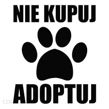 naklejka-na-samochod-nie-kupuj-adoptuj