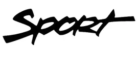 naklejka-auto-szybe-sport