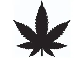naklejka-auto-szybe-marihuana-lisc-trawka
