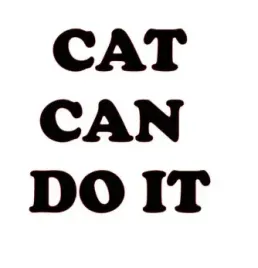 naklejka-na-samochod-cat-can-doit-napis