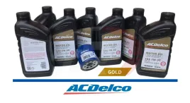 buick-rainier-42-l6-2004-2005-filtr-olej-acdelco-5w-30-gold