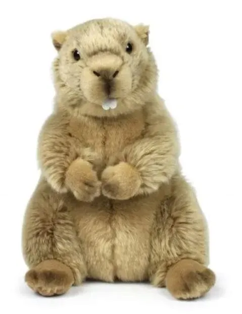 swistak-23-cm-wwf