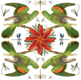 karnet-kwadrat-z-koperta-red-winged-parrot