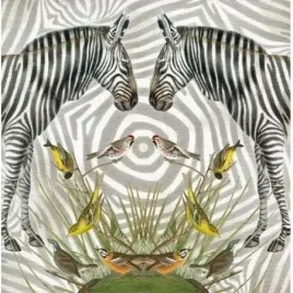 karnet-kwadrat-z-koperta-zebra