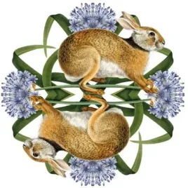 karnet-kwadrat-z-koperta-european-brown-hare