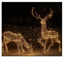 dekoracje-swiateczna-rattan-led-renifer-duo-ojciec-i-matka-24v