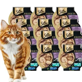 sheba-tacka-krewetka-kurczak-w-sosie-16x60g