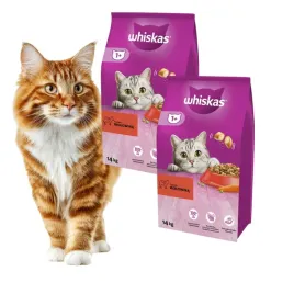 pakiet-whiskas-1-sucha-karma-dla-kota-doroslego-z-wolowina-2x14-k