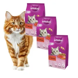 pakiet-whiskas-1-sucha-karma-dla-kota-doroslego-z-wolowina-3x14-k