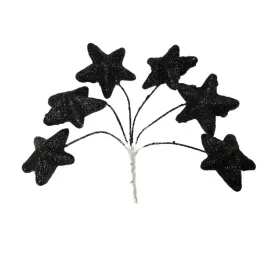 gwiazdka-glitter-xg61-24-black-wiazka