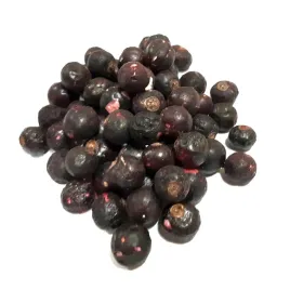 porzeczka-czarna-liofilizowana-500g