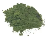 chlorella-proszek-100g