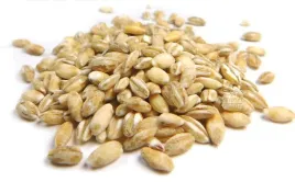 peczak-jeczmienny-nieoczyszczony-1kg-pelna-wartosc