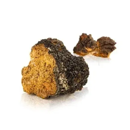 mycomedica-chaga-90-kapsulek-liczba-sztuk-90-szt