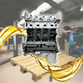 silnik-d20aa-ddis-2-0-16v-fiat-sedici-suzuki-sx4-lift