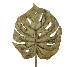 lisc-monstera-zielony