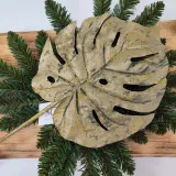 lisc-monstera-zielony-stan-nowy