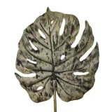 lisc-monstera-oliwkowy
