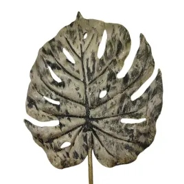 lisc-monstera-oliwkowy