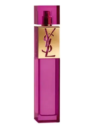yves saint laurent elle