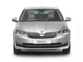 skoda-octavia-iii-2016-2020-oslona-zimowa-chlodnicy